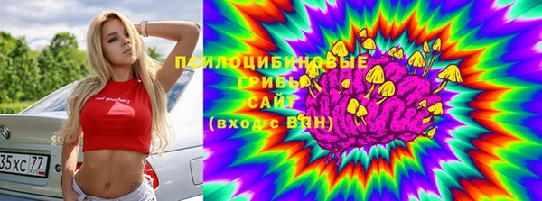 твердый Кинешма