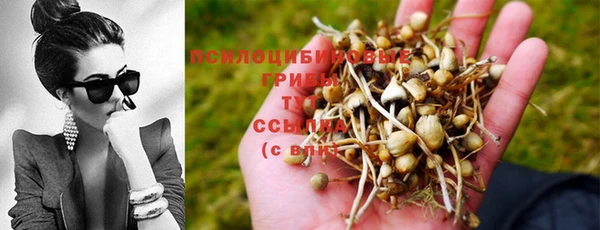 прущая мука Карпинск