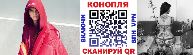 Бошки Шишки сатива  Купить где  Данилов 